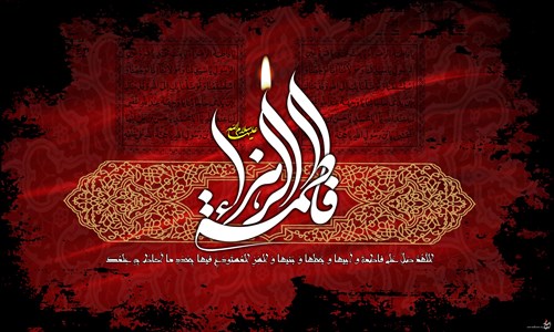 اردوی تیم ملی کشتی آزاد نونهالان – یزد (فیلم)